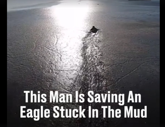 This Video Proves Humanity Still Exists