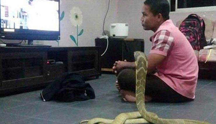 weird news,weird incident,weird love story,man got married with snake