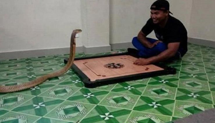 इस शख्स ने नागिन से ही रचा ली शादी, सोशल मीडिया पर वायरल हो रहा इनके पिछले जन्म का प्यार