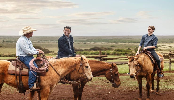 astrology tips,astrology tips in hindi,positive dream,dream show your progress