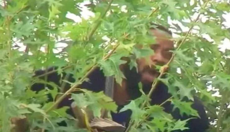 गिरफ्तारी से बचने के लिए 24 घंटे तक पेड़ पर बैठा रहा युवक, पुलिस करती रही इंतजार