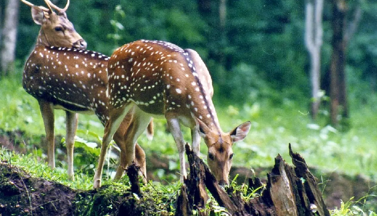 kullu manali sightseeing spots,nature beauty in kullu manali,kullu manali tourist hotspots,hidden gems of kullu manali,scenic vistas in kullu manali,adventure destinations in kullu manali,kullu manali travel experiences,cultural attractions in kullu manali,best views in kullu manali