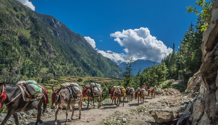 valleys to visit in nepal,best valleys in nepal,nepal travel destinations,scenic valleys in nepal,top valleys to explore in nepal,must-visit valleys in nepal,nepal nature tourism,himalayan valleys in nepal