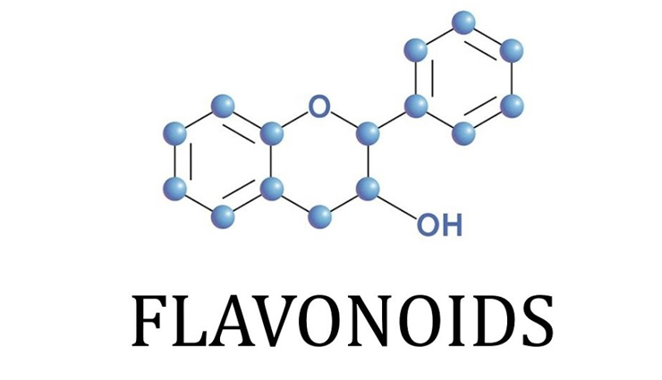 mandarin orange,health benefits of mandarin orange,Health tips,fitness tips