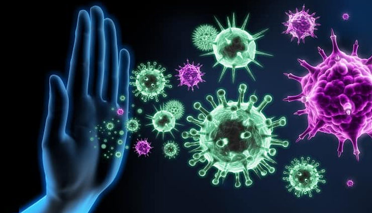 mandarin orange,health benefits of mandarin orange,Health tips,fitness tips