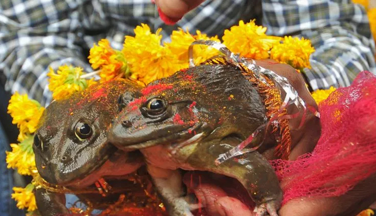 bizarre traditions in india,unique indian rituals,unconventional customs in india,astonishing indian traditions,offbeat cultural practices,strange rituals in indian culture,intriguing indian ceremonies,quirky traditions to explore,exceptional cultural events in india,unusual festivals and rituals