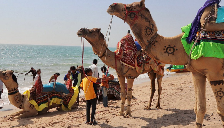 places to visit in gujarat during monsoon,monsoon destinations in gujarat,gujarat travel in july,best places to visit in gujarat,gujarat monsoon attractions,gir national park in monsoon,kutch in monsoon,saputara hill station gujarat,monsoon travel gujarat,historical places in gujarat