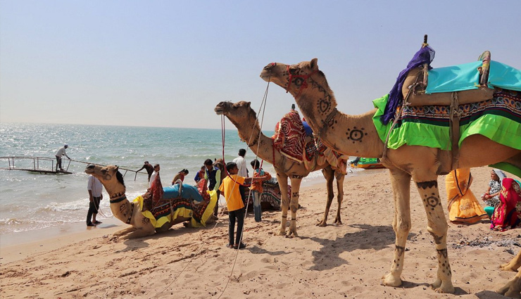 gujarat beaches,popular beaches in gujarat,mandvi beach gujarat,dwarka beach gujarat,porbandar beach attractions,jamnagar beach guide,ghogla beach diu,jallandhar beach diu,devka beach diu,dandi beach surat,tithal beach south gujarat,best beaches in gujarat,gujarat coastal attractions,beach vacation gujarat,gujarat beach getaways,hidden beaches gujarat,beach destinations in gujarat,gujarat beach travel guide,explore gujarat beaches,gujarat beach holiday spots