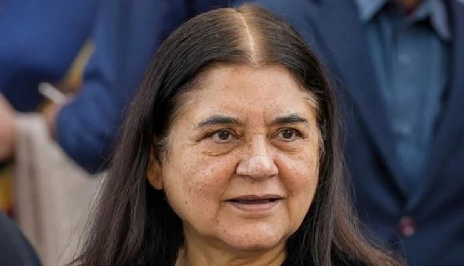 पटाखे जलाने वाले हैं देशद्रोही..., मेनका गांधी ने दिवाली-दशहरे सहित सभी अवसरों का किया जिक्र