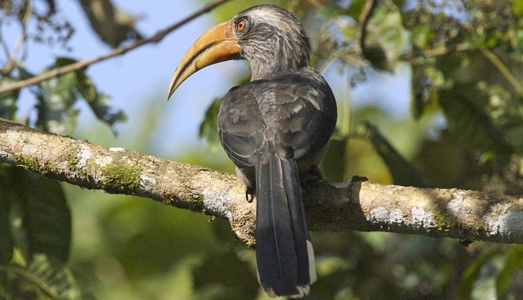 mattanchery palace,dutch palace,kochi sightseeing,fort kochi,kochi tour,places to see in kochi,best time to visit kochi,kochi tourism,tourist places in kochi,holidays,travel