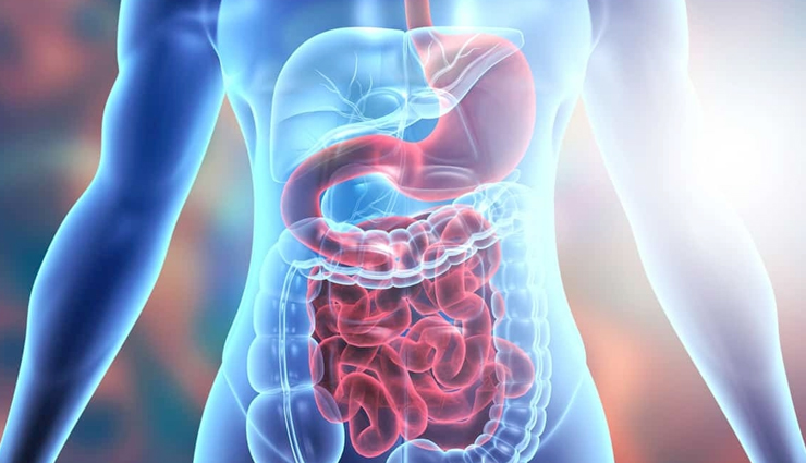 health benefits of mango,nutritional value of mango,mango and its medicinal properties,mango for weight loss,mango for skin and hair,mango and its antioxidant properties,mango and its anti-inflammatory properties,mango for digestion and gut health,mango and its role in boosting immunity,mango and its benefits for eye health,mango and its benefits for bone health,mango and its benefits for heart health,mango and its benefits for diabetes management,mango and its benefits for reducing the risk of cancer,mango and its benefits for brain health and memory