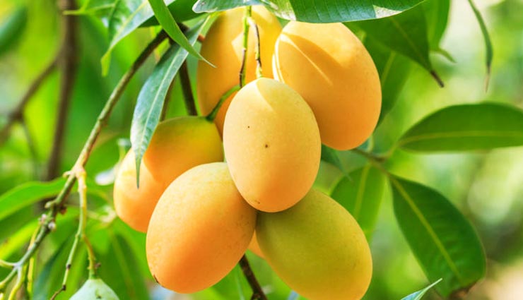 how to treat dry skin at home