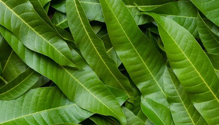 remedies to get rid of ear ache,healthy living,Health tips