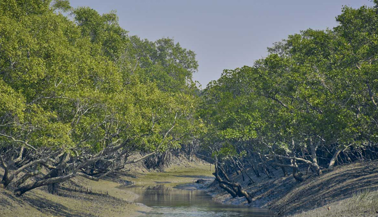 orissa,attractions in orissa,orissa tourism,tourist places in orissa,holidays,travel,travel tips