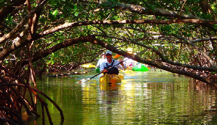 ras al khaimah beach,iceland water park ras al khaimah,hajar mountains adventure,mangrove kayaking ras al khaimah,khatt hot springs relaxation,falcon show ritz-carlton ras al khaimah,desert adventure bassata desert village,camel racing al sawan race track,explore dhayah fort,traditional arabic lunch al fanar restaurant