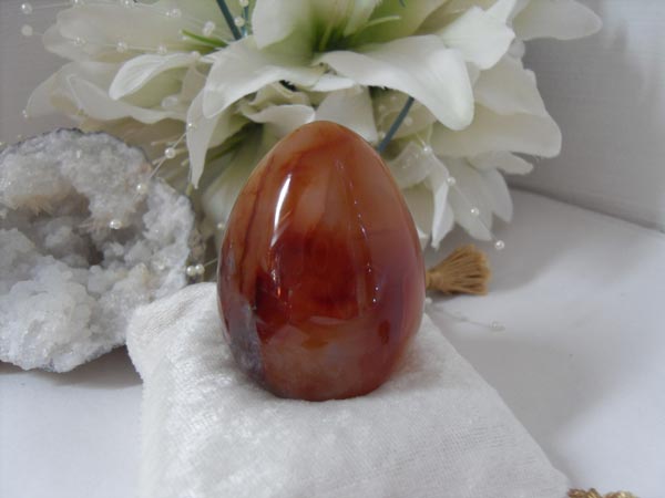 pooja,astrology,astro