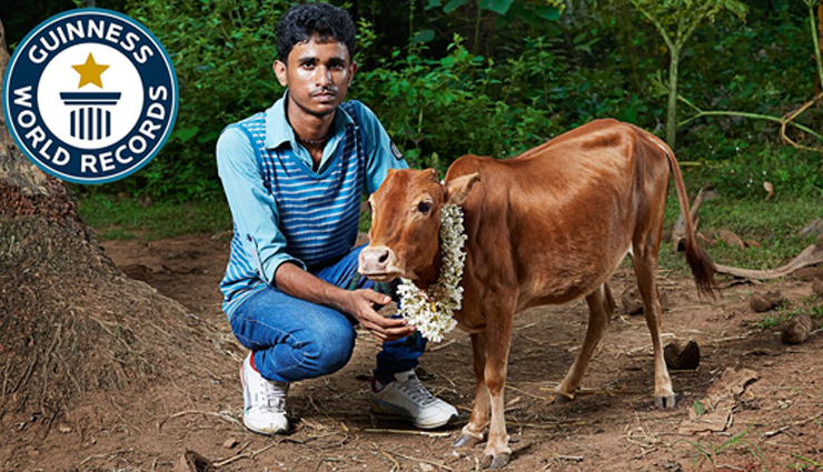 meet the world record holder cow from india