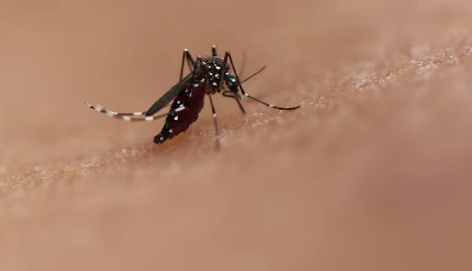 मणिपुर में डेंगू के मामले 3,300 पार, इम्फाल वेस्ट सबसे ज्यादा प्रभावित जिला बना