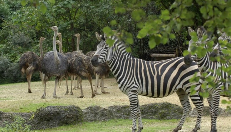 पर्यटन के नजरिये से बेहद खास है मणिपुर का सबसे बड़ा शहर इम्फाल, फैमली या फ्रेंड्स के साथ बना ले घूमने का प्रोग्राम must visit places in imphal manipur,holidays,travel,tourism