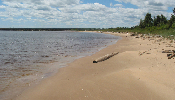 beautiful beaches in michigan,best beaches in the great lake state,scenic beaches to visit in michigan,top beach destinations in michigan,great lake state beach vacations,must-see beaches in michigan,michigan most beautiful beaches,beach getaways in the great lake state,sandy shores in michigan,coastal escapes in michigan