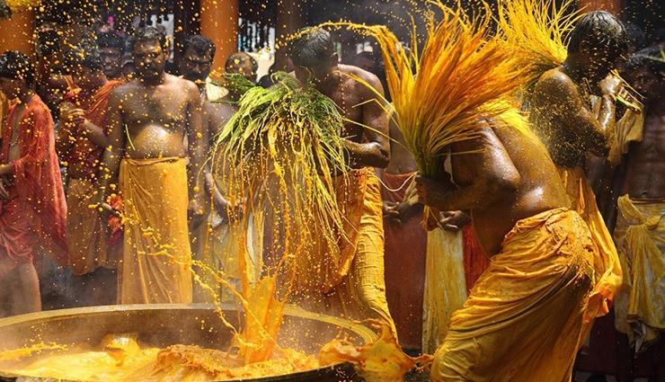 holi celebration,holi celebration india,india holi celebration,holi special