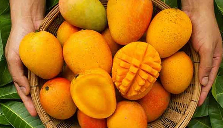 mango varieties,types of mangoes,different mango cultivars,popular mango types,exotic mango varieties,unique mango cultivars,mango species and varieties,mango diversity and types,best mango types to try,exploring different mango varieties