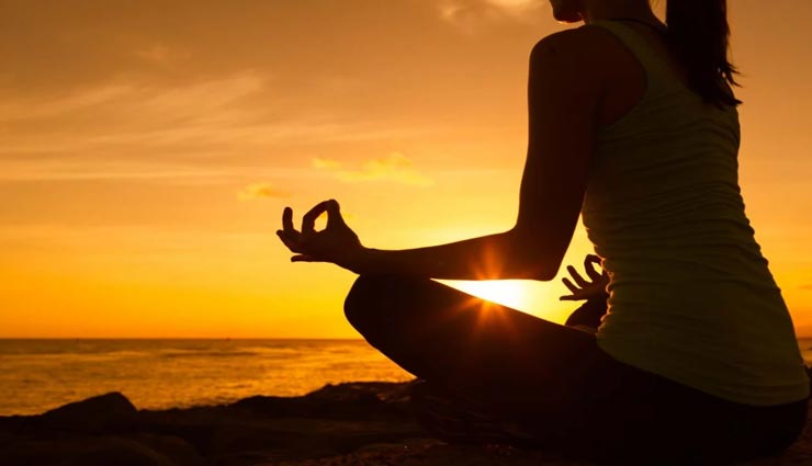 astrology tips,astrology tips in hindi,safala ekadashi,ekadashi vrat rules