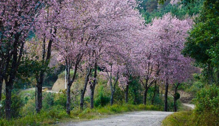 top places to visit manipur,unmissable destinations in manipur,essential sights in manipur,best tourist spots manipur,must-see places in manipur,exploring manipur attractions,key landmarks in manipur,hidden gems of manipur,tourist highlights manipur,iconic places in manipur