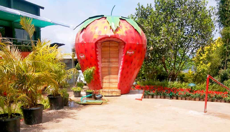 mahabaleshwar,tourist places in mahabaleshwar,mahabaleshwar tourism,mahabaleshwar perfect honeymoon destination,travel,tourism,tourist places in mahabaleshwar