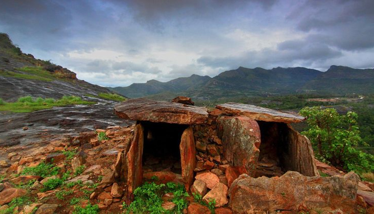 munnar,munnar tourism,tourist places in munnar,holidays in munnar,munnar travel