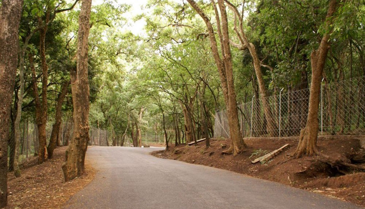 munnar,honeymoon destination munnar,munnar tourism,tourist places in munnar,holidays in munnar