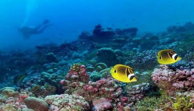 weird news,weird information,worlds largest ocean,pacific ocean,interesting facts