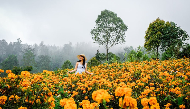 romantic things to do in bali,bali honeymoon activities,bali romantic getaway,couples activities in bali,honeymoon in bali,bali nature walks,bali sunset spots,bali dining experiences,bali adventure activities,bali dolphin watching,bali sunset cruise,bali romantic strolls,bali hot tubs,bali marigold fields