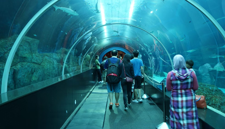 romantic places in singapore,singapore honeymoon destinations,best honeymoon spots in singapore,romantic activities for couples in singapore,honeymoon attractions in singapore,singapore honeymoon guide 2024,lovebirds paradise in singapore,memorable honeymoon experiences in singapore,romantic getaways in singapore,couple-friendly places in singapore