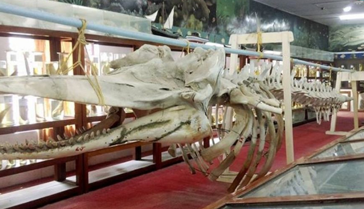 भारत के सबसे खूबसूरत पर्यटक स्थलों में से एक है लक्षद्वीप, यहां की इन जगहों पर करें एंजॉय lakshadweep,tourist destinations in lakshadweep lakshadweep tourist destinations,lakshadweep tourist places