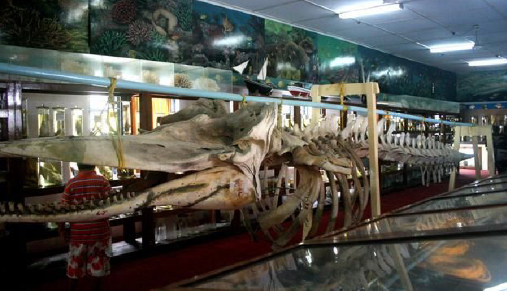 lakshadweep island advantages,unique features of lakshadweep,lakshadweep vs other islands,best island holiday destination,lakshadweep attractions,exotic islands in india,unexplored island paradises,lakshadweep travel benefits,why choose lakshadweep for holidays,island beauty of lakshadweep