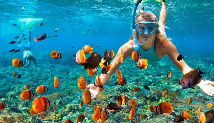 marine national parks in india,india,marine parks