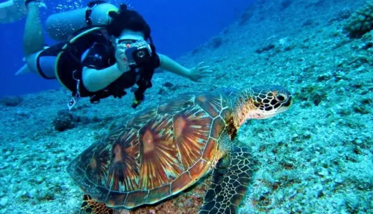 marine national parks in india,india,marine parks