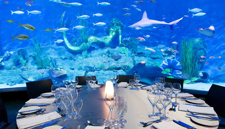 aquarium of western australia,perth,sea life sydney aquarium,sea life melbourne aquarium,crocosaurus cove,darwin,cairns aquarium,sea world,gold coast,stanley seaquarium,tasmania