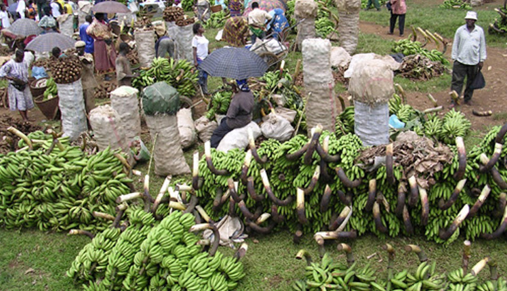 5 Must Visit Markets in Cameroon