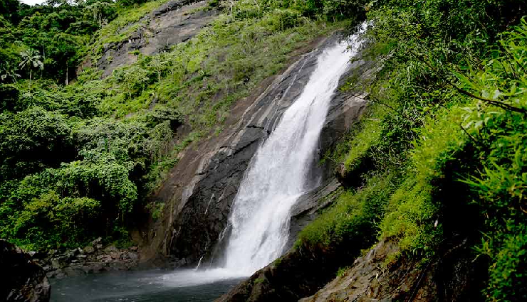 kerala waterfalls,beautiful waterfalls in kerala,chinnakanal waterfalls,vazhachal waterfalls,chethalayam waterfalls,marmala waterfalls,meenmutty waterfalls,kanthanpara waterfalls,thusharagiri waterfalls,thommankuthu waterfalls,kerala natural beauty,waterfall exploration kerala,scenic waterfalls in kerala,kerala offbeat destinations,post-monsoon kerala waterfalls,family-friendly waterfalls kerala,kerala adventure escapes,nature trails in kerala,hidden gems in kerala,kerala eco-tourism,refreshing water experiences kerala,picturesque landscapes kerala,kerala tourism spots,eco-friendly travel kerala,waterfall trekking kerala,neyyar dam boat ride,kerala outdoor activities,birdwatching in kerala,kerala nature trails,hidden caves exploration kerala,natural beauty of wayanad,tranquil spots in kerala,waterfall picnic spots,western ghats kerala,thiruvananthapuram adventure spots,neyyar dam trek,kerala biodiversity,family-friendly adventure kerala,kozhikode tourist attractions,secluded waterfalls kerala,adventure activities in idukki