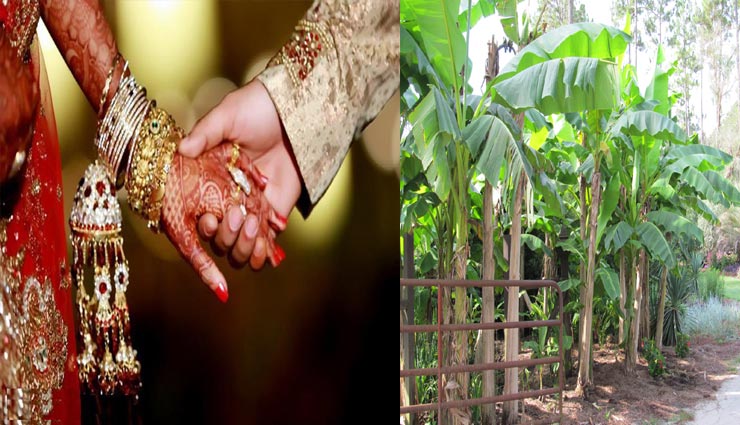 astrology tips,astrology tips in hindi,thrusday astrology tips,astrology tips for happy life