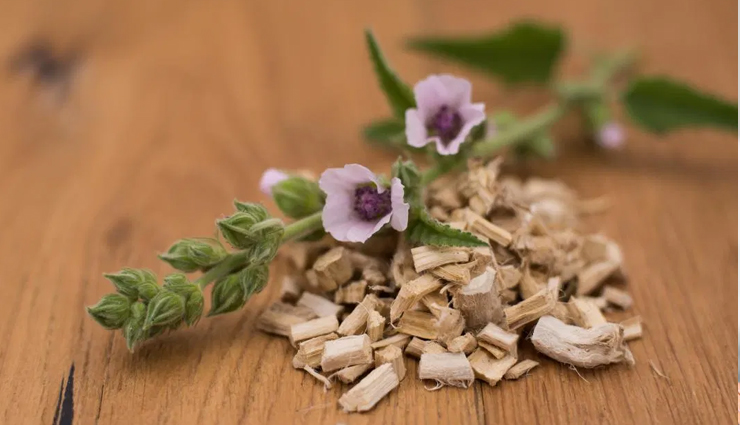 conditioning herbs,herbs for gorgeous hair,beauty tips,tips for conditioning hair,hair care tips