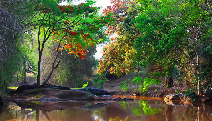 romantic weekend getaways near bangalore,romantic places to visit near bangalore,bangalore,bangalore tourist places,bangalore tourism,travel,travel guide,travel tips