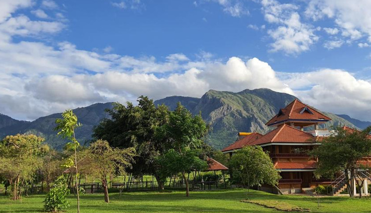 ऊटी से महज एक घंटे की दूरी पर स्थित है यह खूबसूरत हिल स्टेशन, वाइल्डलाइफ प्रेमियों के लिए जन्नत why is masinagudi famous,is masinagudi open for tourists now,which district is masinagudi,how do you get to masinagudi,is mudumalai tiger reserve open now,where is mudumalai national park situated,what is the district of ooty,how do i get to masinagudi by bus,how many trains are there from mettupalayam to ooty,what is the famous animal in mudumalai national park,travel,holidays,travel guide