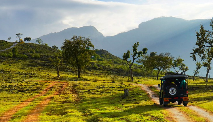 ऊटी से महज एक घंटे की दूरी पर स्थित है यह खूबसूरत हिल स्टेशन, वाइल्डलाइफ प्रेमियों के लिए जन्नत why is masinagudi famous,is masinagudi open for tourists now,which district is masinagudi,how do you get to masinagudi,is mudumalai tiger reserve open now,where is mudumalai national park situated,what is the district of ooty,how do i get to masinagudi by bus,how many trains are there from mettupalayam to ooty,what is the famous animal in mudumalai national park,travel,holidays,travel guide