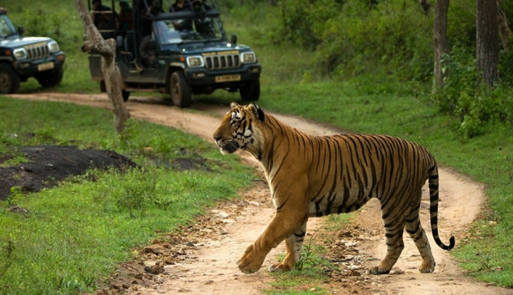 ऊटी से महज एक घंटे की दूरी पर स्थित है यह खूबसूरत हिल स्टेशन, वाइल्डलाइफ प्रेमियों के लिए जन्नत