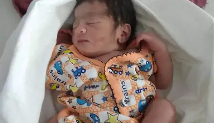 छत्तीसगढ़ : ‘जाको राखे साईंया मार सके ना कोय’, कुत्तों ने रखा नवजात बच्ची का ख्याल, ठुठरती रात में दी गर्माहट chhattisgarh,baby girl,dog