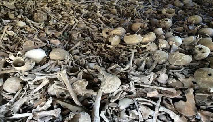 weird news,weird incident,nellie massacre,2000 people killed in assam