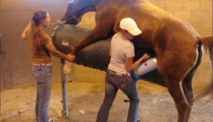 most disgraceful jobs,weird stories,weird jobs